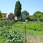Fattoria I Tribbi דירה