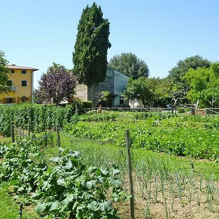 Fattoria I Tribbi Daire