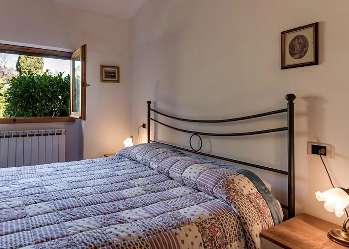 Fattoria I Tribbi Ambra