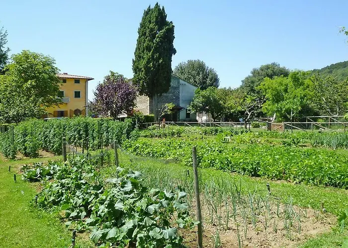 Fattoria I Tribbi Apartment