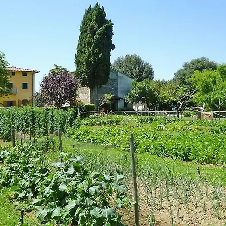 Fattoria I Tribbi Apartment